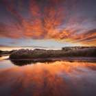 USA-New Jersey-Cape May National Seashore Sunrise on marsh Art Print